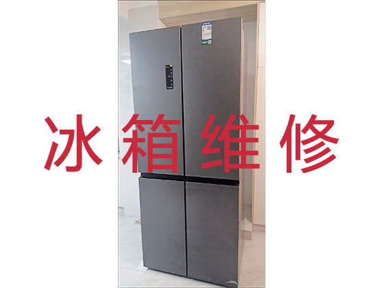 衢州冰箱冰柜维修公司